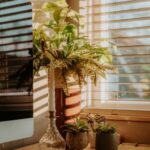 resized_201757